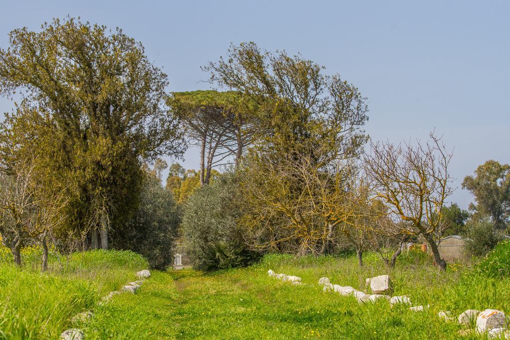 B&B Villa Spada Donadeo Lequile 外观 照片
